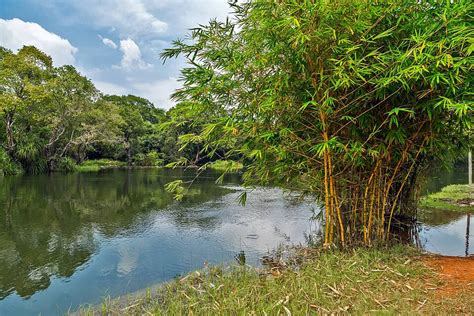 風水桌布下載|風水圖庫、照片和背景素材免費下載